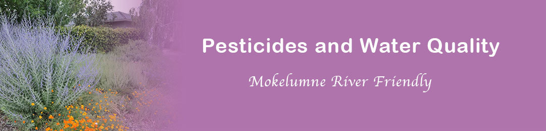 Pesticides and Water Quality