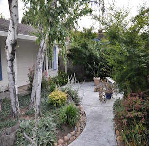 Lodi Courtyard Garden