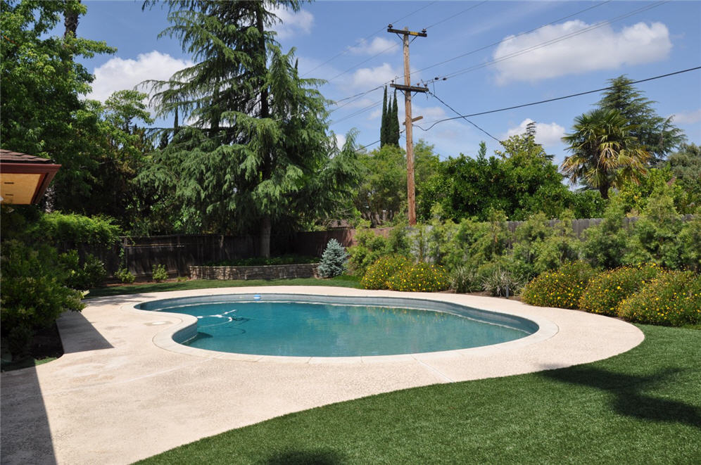 View of Pool Artificial Turf