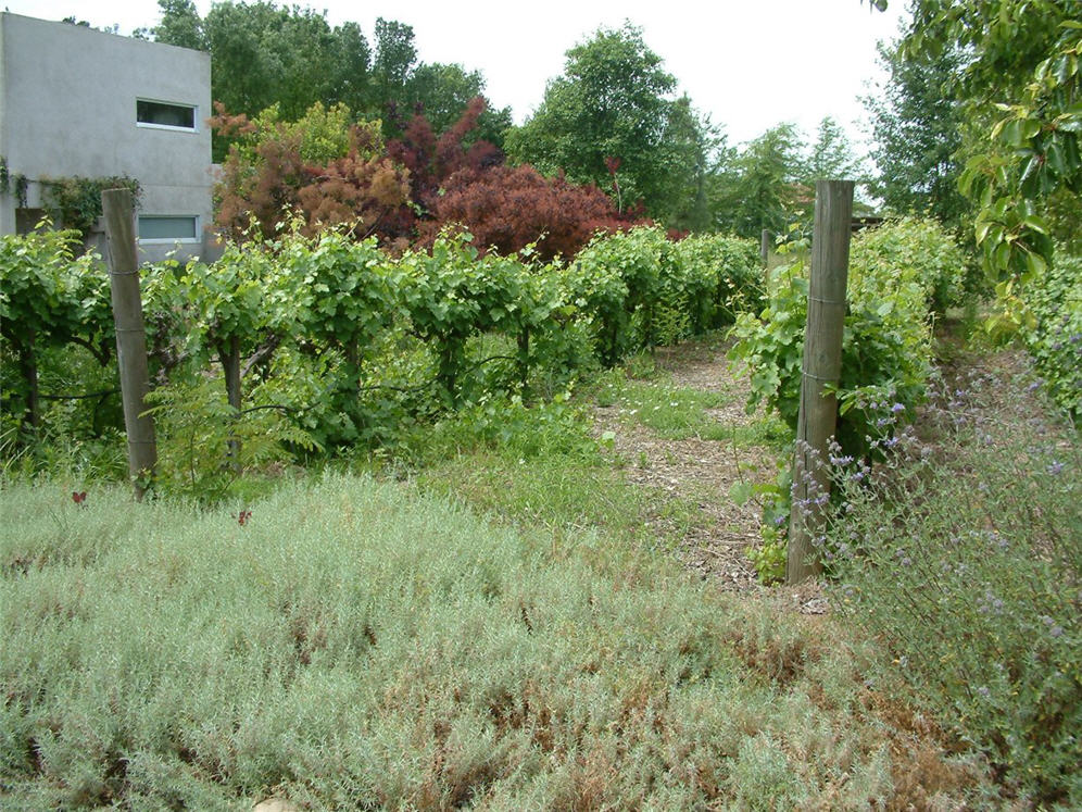 Taste of the Orchard