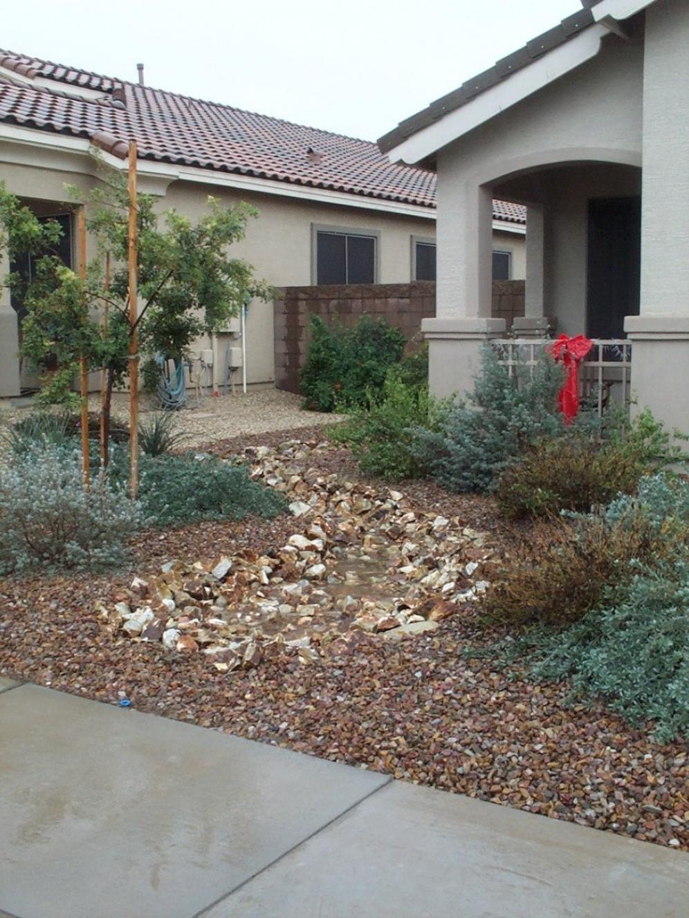 Water Harvesting5
