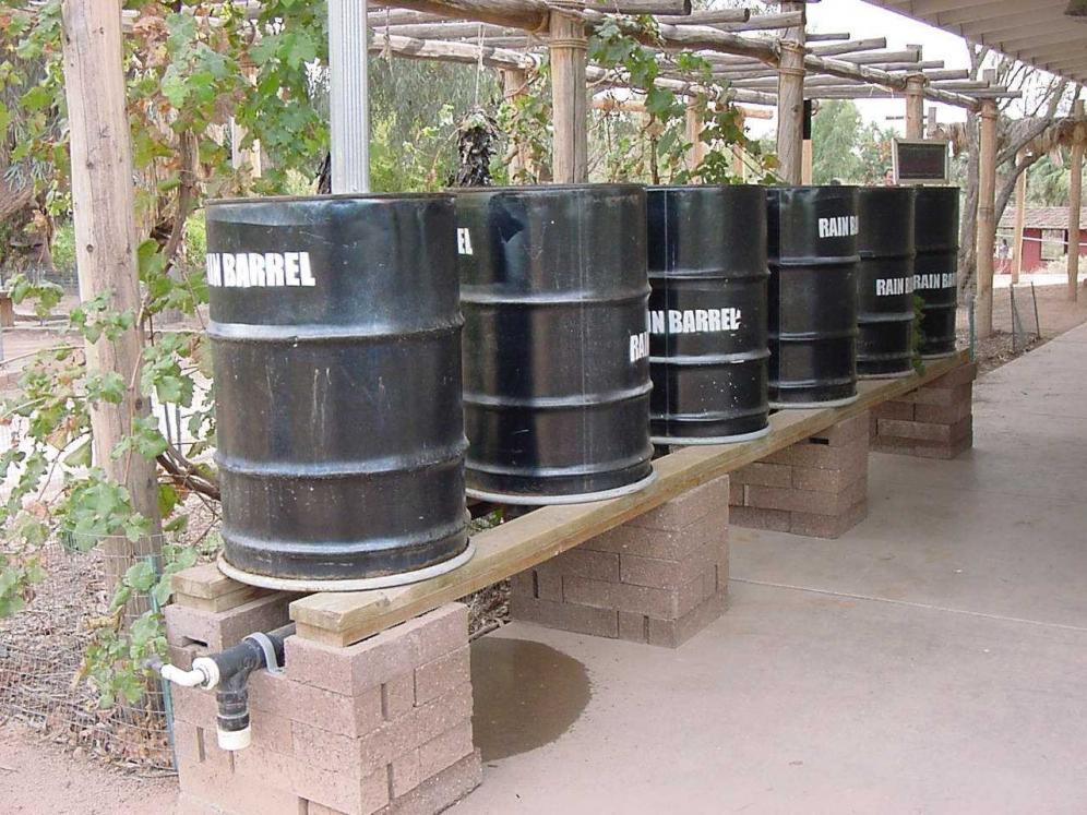 Water Harvesting8