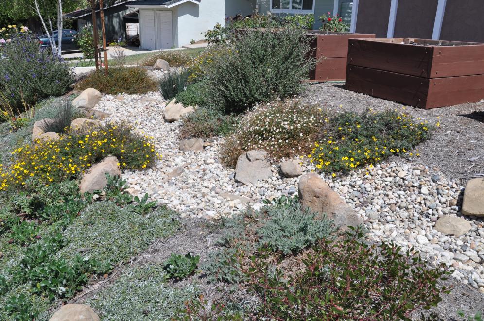 Watershed Garden8