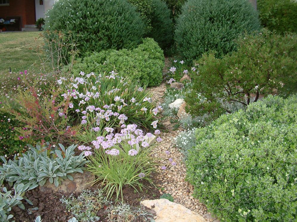 Dry Creek Beds1