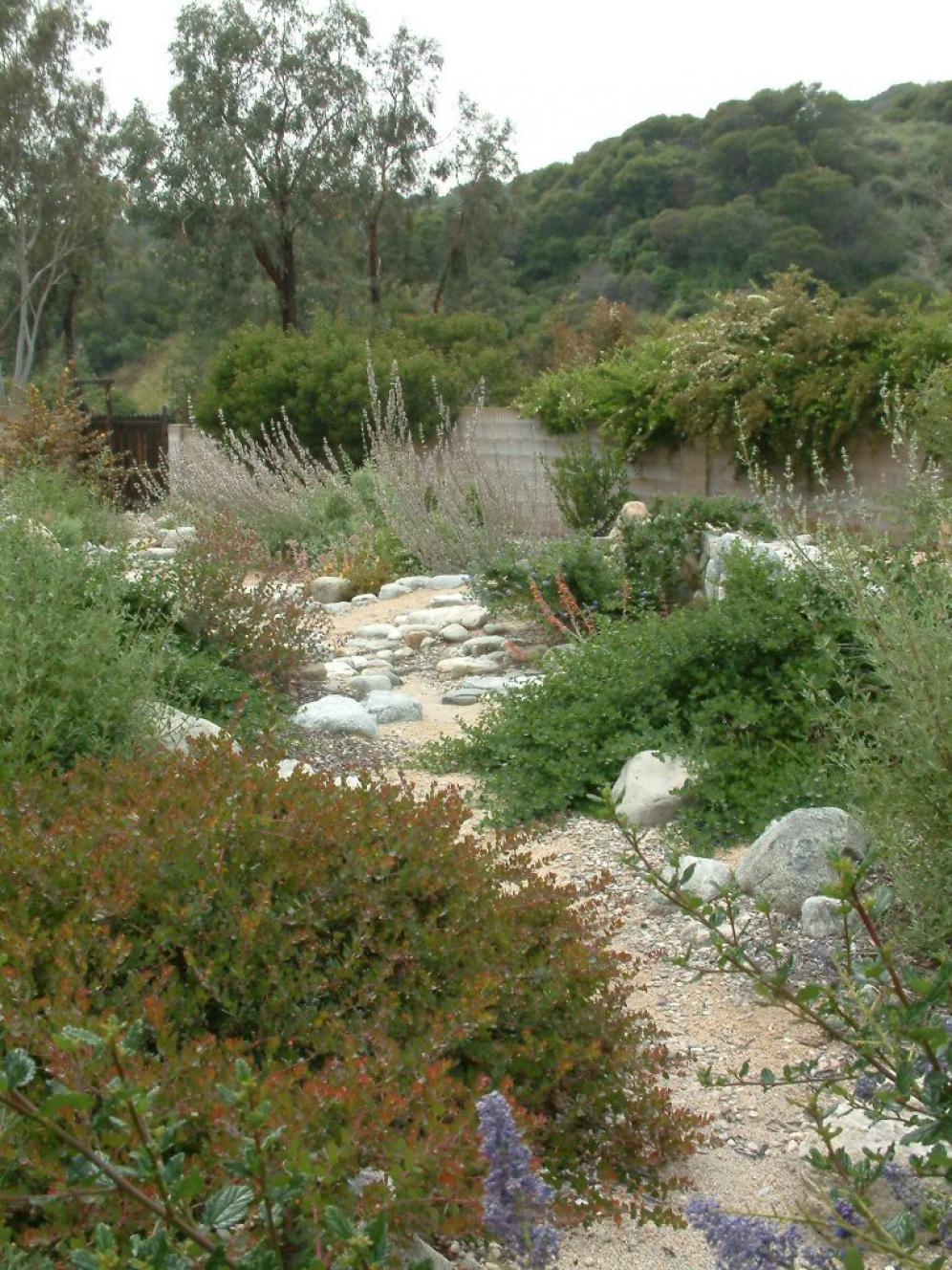 Dry Creek Beds2