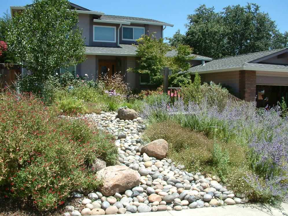Dry Creek Beds3