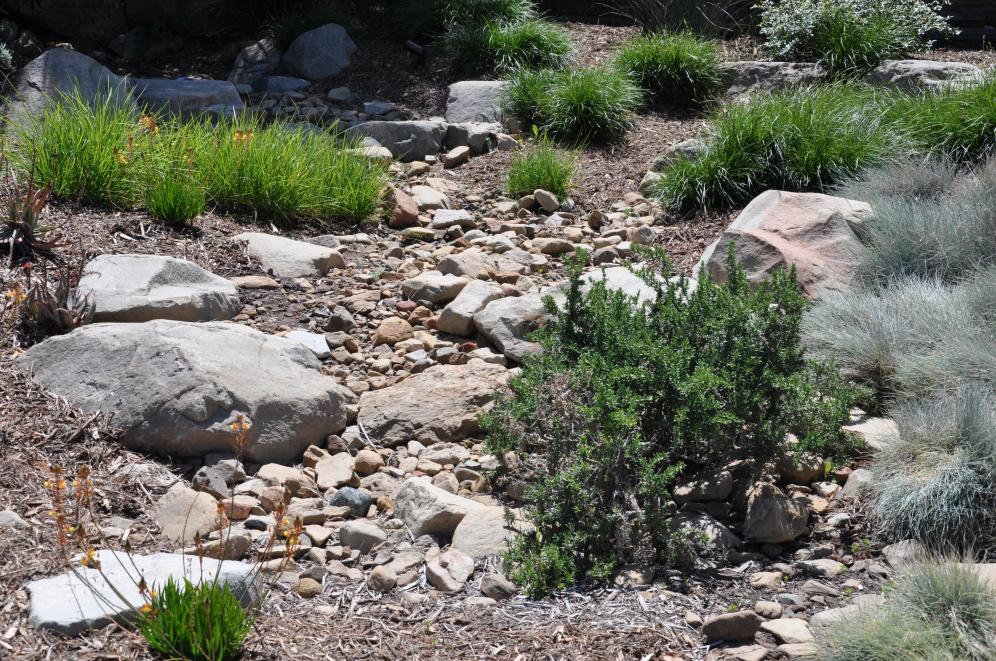 Dry Creek Beds