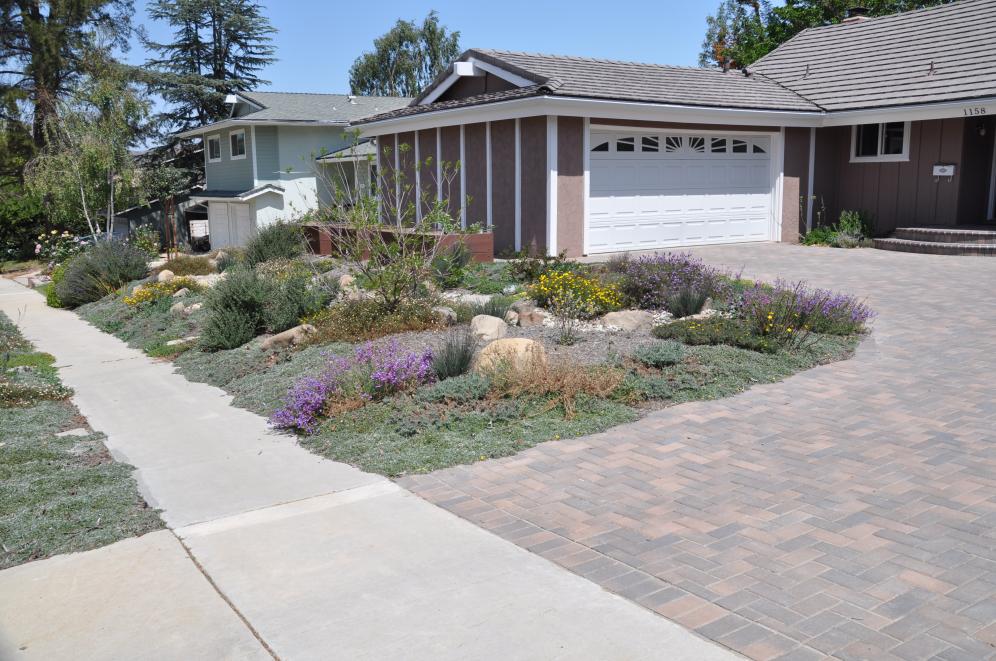 Water Shed Garden Two1
