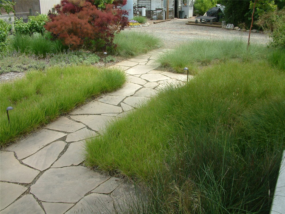 Meadow Entry Two