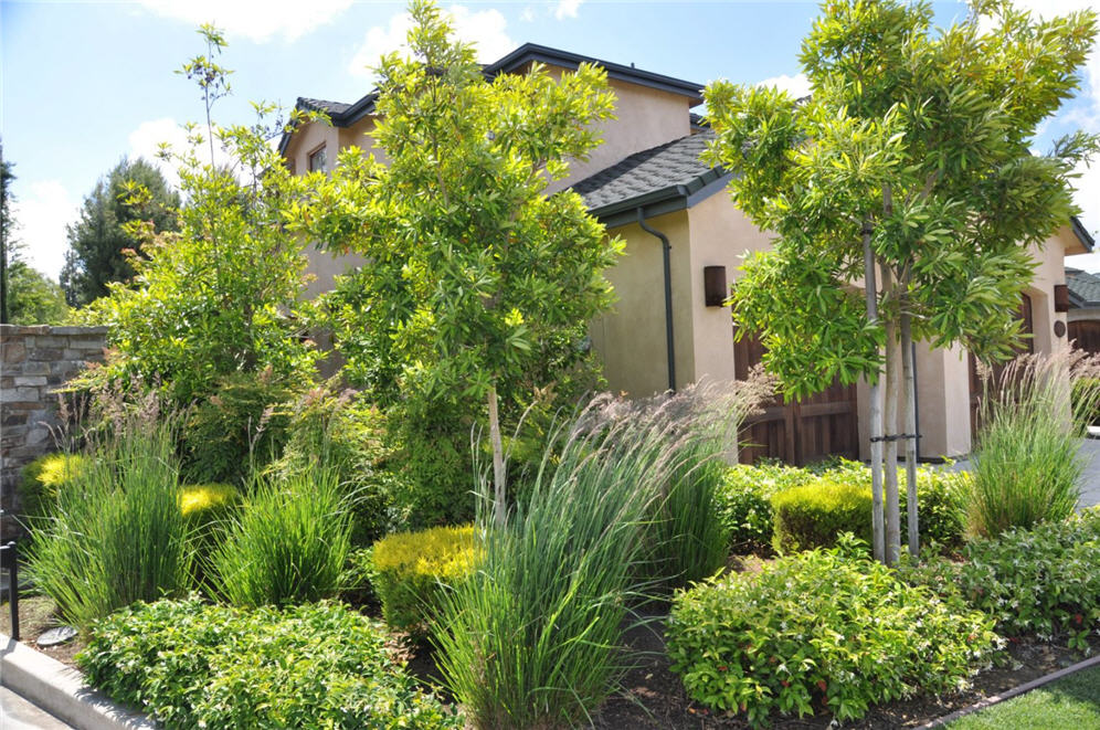 Cohousing 8