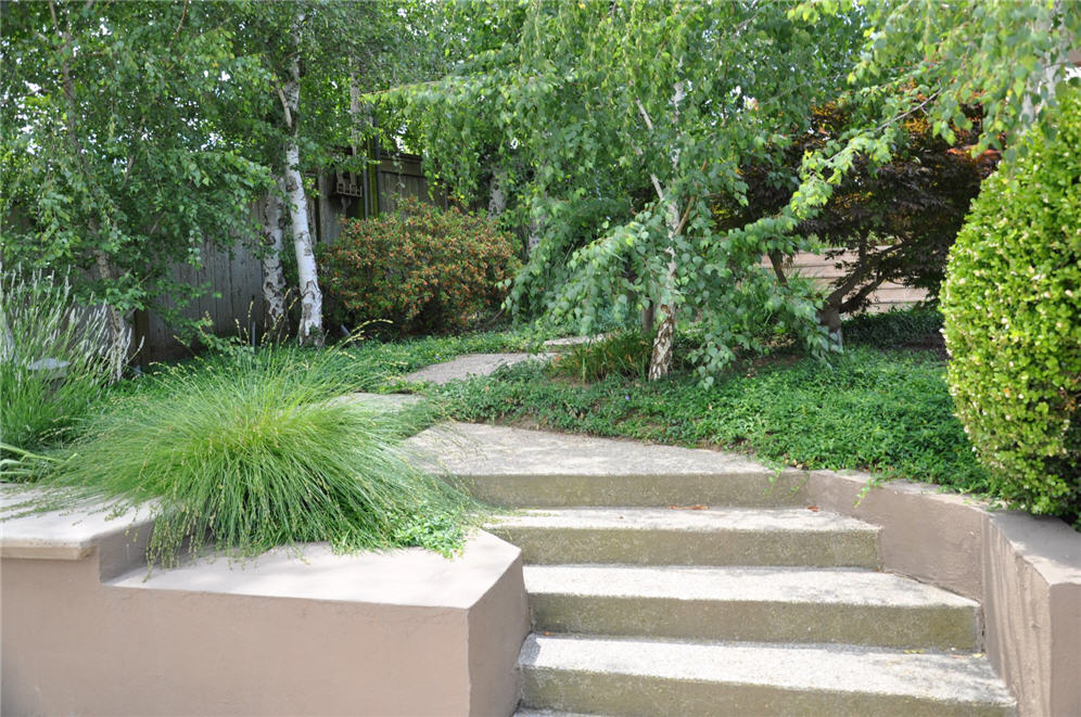 Three Steps Arbor Green