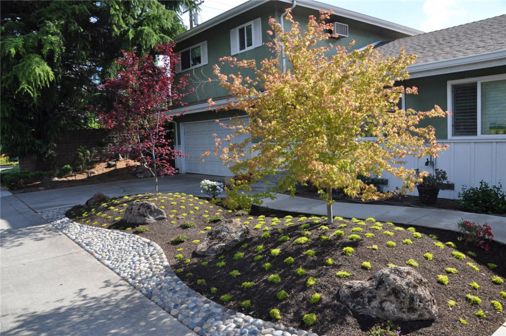 Corner Garden Two 3