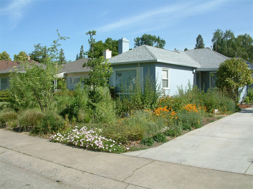 Intown Native Garden