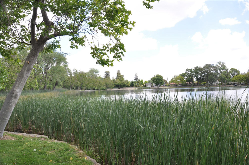 Lodi Lake 7