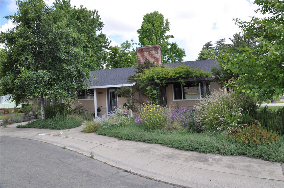 Alder Garden From Street