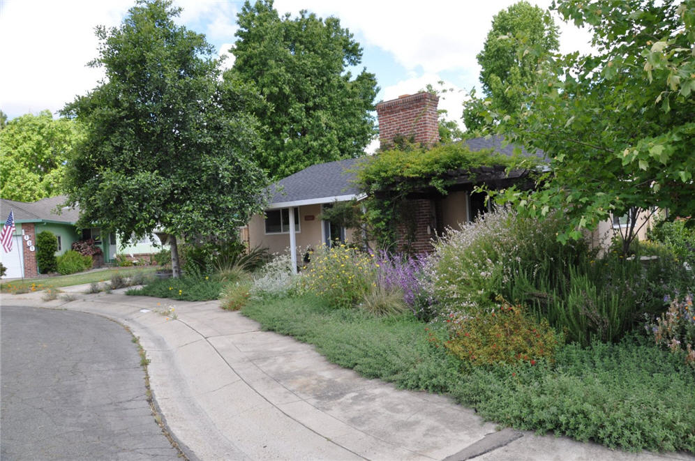 Alder Garden Side View